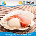 high quality half shell scallop